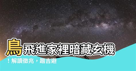 小鳥來家裡|【鳥飛進家裏代表什麼】鳥飛進家裡暗藏玄機！解讀徵。